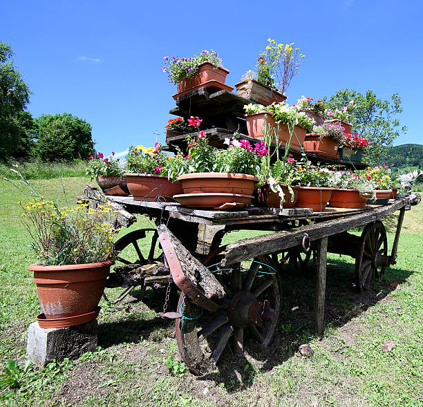 very old wooden cart with many pots of flowers in the meadow in the mountains