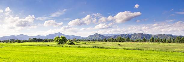 istock landscape of summer mountains green grass 588355308