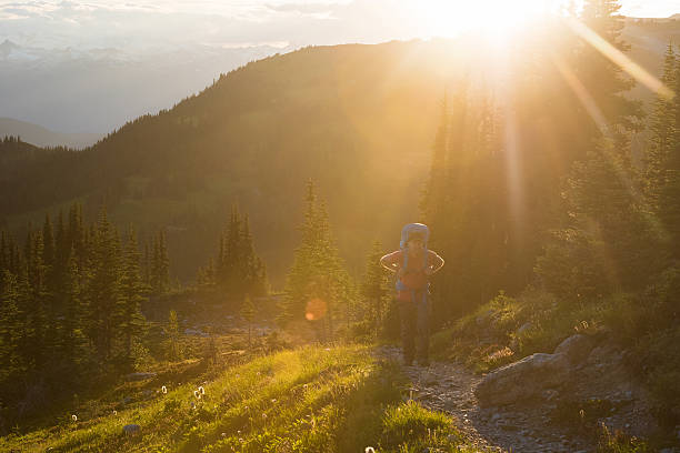 istock Healthy outdoor lifestyle 588358174