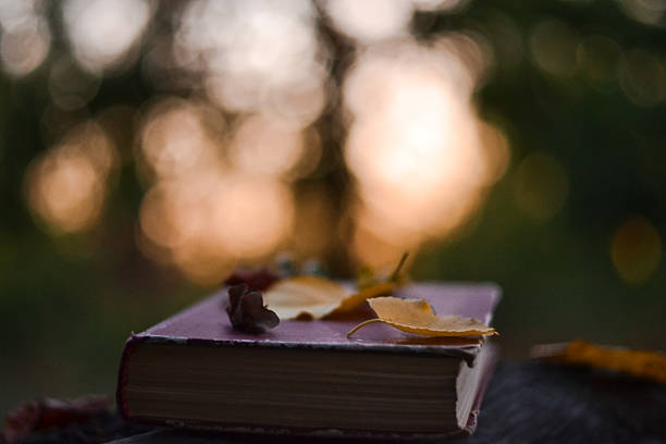 Poetry book with fallen leaves on it in front of blurred sunset background