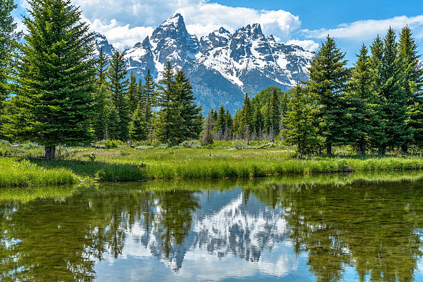 cordilheira teton - teton range grand teton national park mountain rural scene - fotografias e filmes do acervo