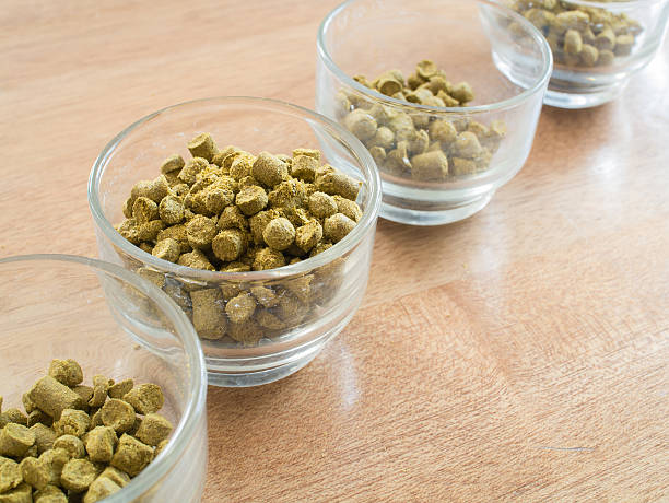 istock Hops pellets in glass cup for brewing beer 588359042