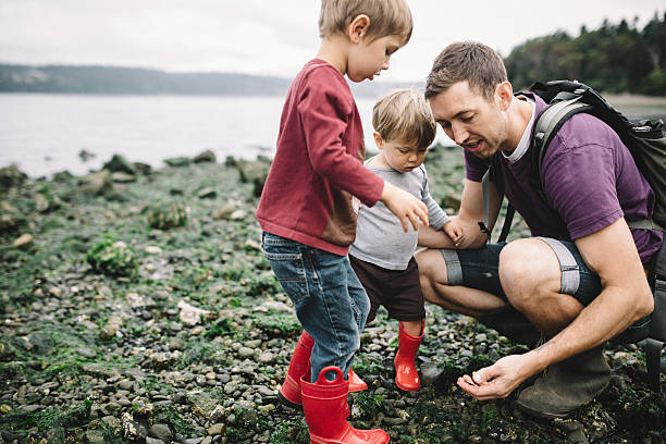 Father and Sons Exploring Rocky Beach A dad and his two boys have fun discovering the wonders of a Pacific Northwest beach on the Puget Sound in Washington state, the father helping them catch small crabs hiding under the rocks. The beach is covered with seaweed, rocks, and shells.  A depiction of available fathers involved in their children's lives. puget sound stock pictures, royalty-free photos & images