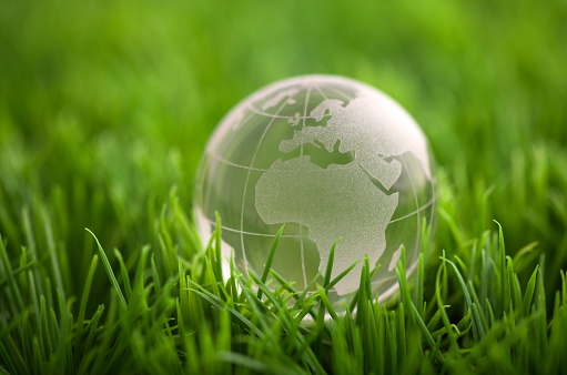 Crystal globe on green grass. World environmental concept.
