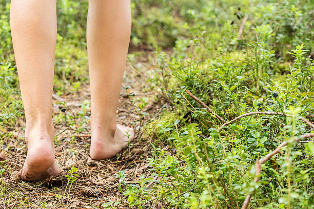 istock person leg on a forest path the hot summer day 588365480