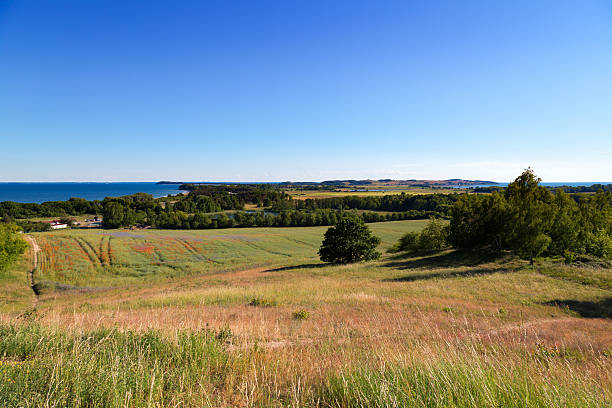 Vista panorámica de la isla alemana de Rügen - foto de stock