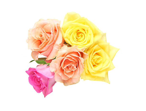 istock Bouquet of roses 588368148