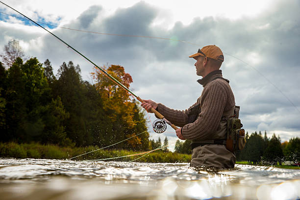 Man fly fishing in the fall in a river A man casts his fly rod into a river during the autumnA man casts his fly rod into a river during the autumn officer boots stock pictures, royalty-free photos & images