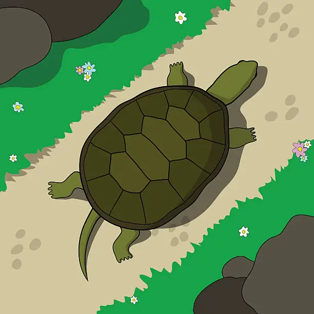 Vector illustration of Crawling tortoise