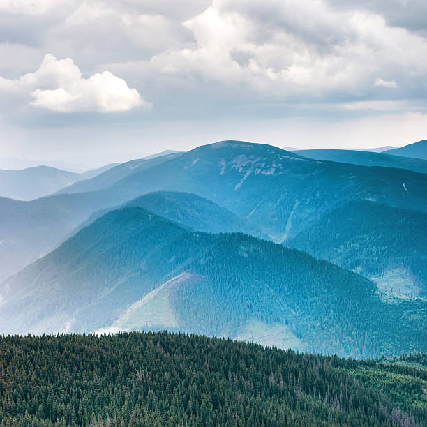 istock Blue mountains covered with green forest 588369602