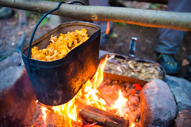 istock Kettle full of mushrooms 588370230