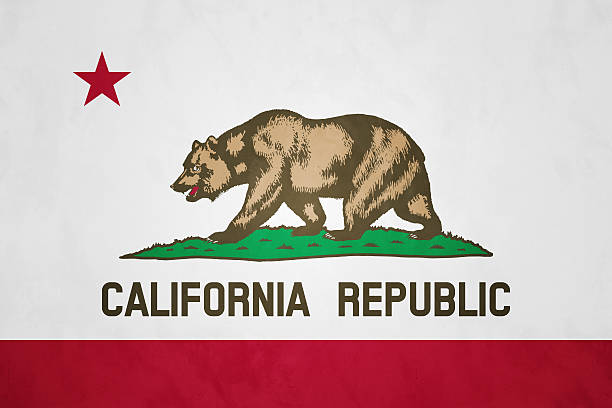 Flag of California (U.S. state)