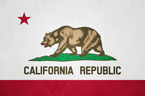 A single red star, a red stripe along the bottom, and a grizzly bear - The official flag of the state of California.