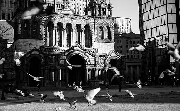 I took this photos of these birds taking flight, on the street of Boston.