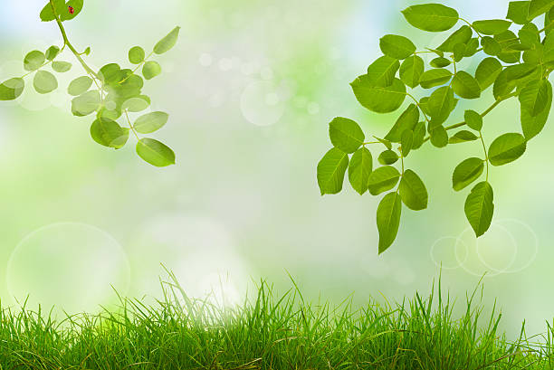istock Beauty sunny day in the forest, abstract natural backgrounds 588371642