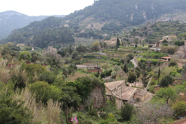 istock palma de Mallorca - nature and valdemossa village 588372412