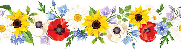 horizontale nahtlose hintergrund mit bunten blumen. vektor-illustration. - daisy sunflower stock-grafiken, -clipart, -cartoons und -symbole