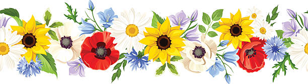 illustrazioni stock, clip art, cartoni animati e icone di tendenza di sfondo senza soluzione di continuità orizzontale con fiori colorati. illustrazione vettoriale. - girasole di daisy