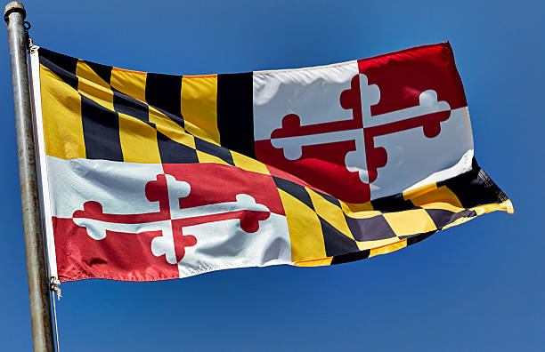istock Maryland State Flag blowing in the Wind 588373888