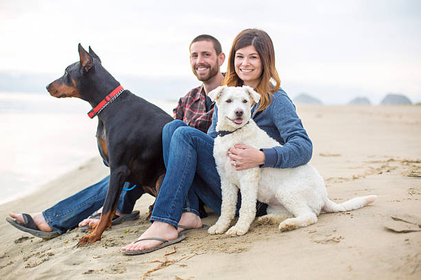 istock Beautiful couple sitting on sand with their pets 588374074