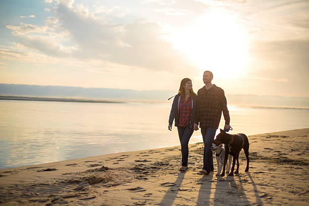 istock Young attractive couple talking on the beach at sunset 588374088