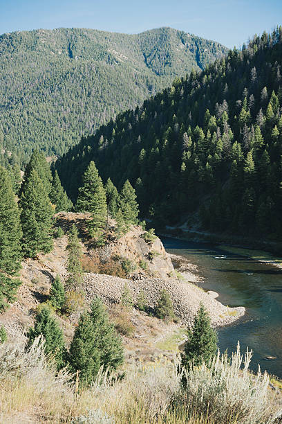 paisaje escénico del río salmon en idaho, el oeste de ee. uu. en verano - idaho beautiful western usa usa fotografías e imágenes de stock