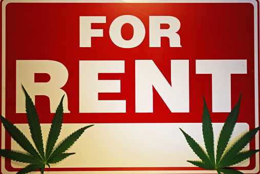 A for rent sign with two marijuana leaves on it. 