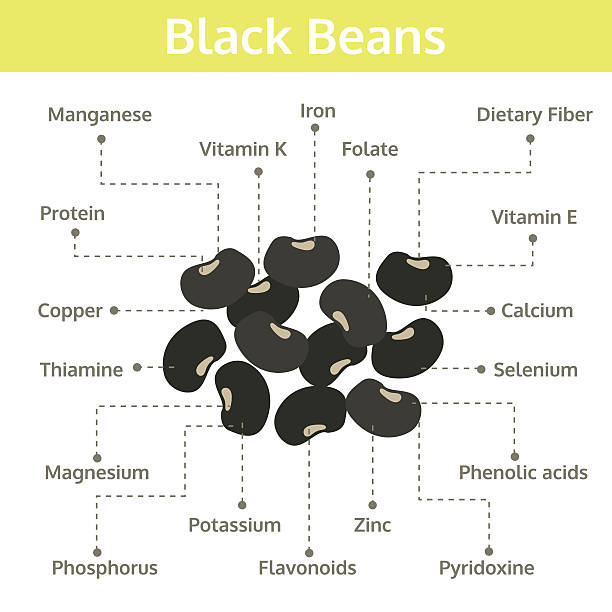 black beans nutrient of facts and health benefits, info graphic black beans nutrient of facts and health benefits, info graphic bean, food vector zinc stock illustrations