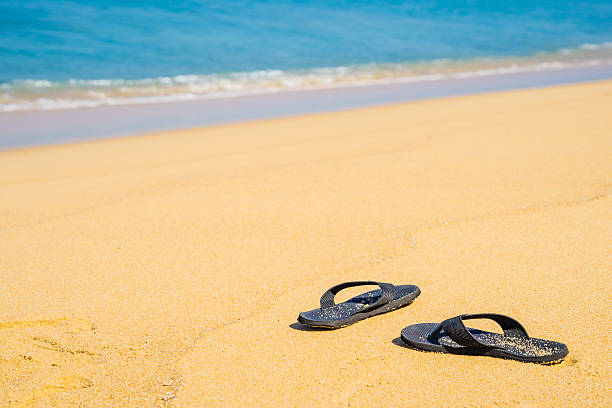 istock Summer vacation concept. Flip flops on a sandy ocean beach 588381638