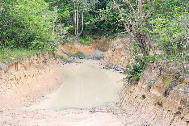 istock Canal soil in the forest 588387226