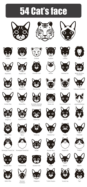 Cat breed face cartoon flat icon design