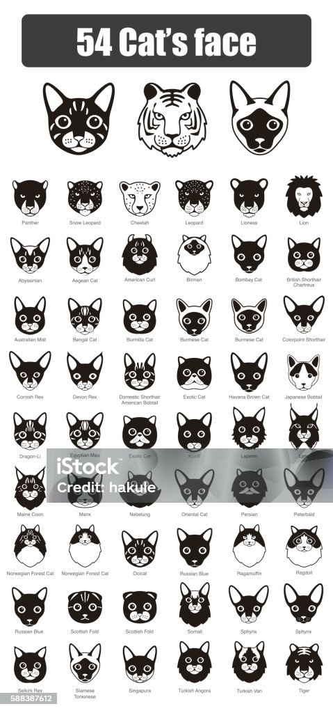 set of cat flat icons, vector illustration Cat breed face cartoon flat icon design Domestic Cat stock vector