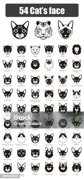 Set Of Cat Flat Icons Vector Illustration Stock Illustration - Download Image Now - Domestic Cat, Icon Symbol, Animal Head