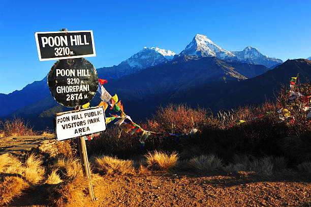 Beautiful view of Annapurna South from Poon Hill, in morning Poon Hill is one of the most famous viewpoints in the world. it's Beautiful view of Himalayan mountains (Annapurna) in morning when see from the top of Poonhill peak, Nepal annapurna conservation area photos stock pictures, royalty-free photos & images