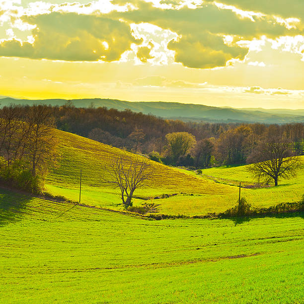 istock Meadows of Tuscany 588390868