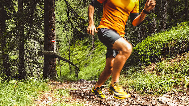istock Man trail running in the forest 588392648
