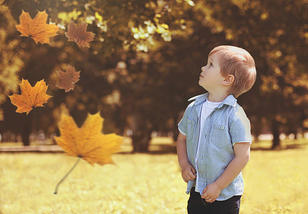 criança no parque de outono olhando para cima em folhas de bordo voador - family happiness outdoors autumn - fotografias e filmes do acervo