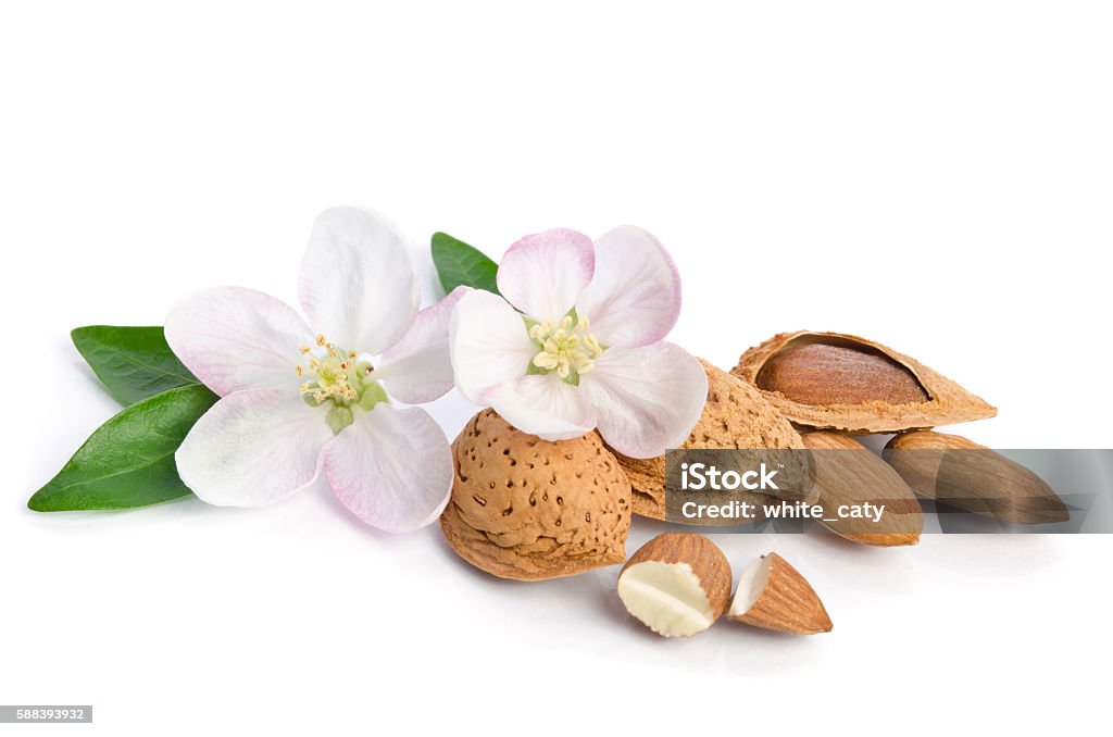 Almonds with leaves and flowers on the white background Almonds with leaves and flowers close up on the white background Almond Stock Photo