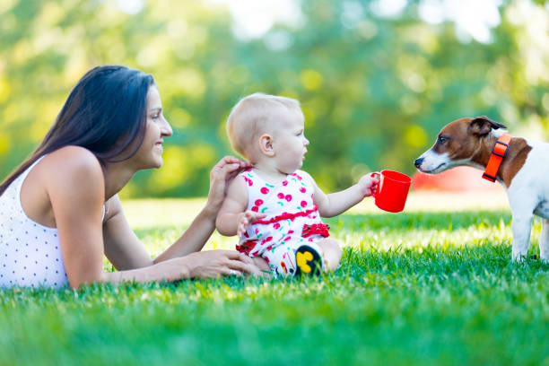 istock toddler, dog and mother 588394904