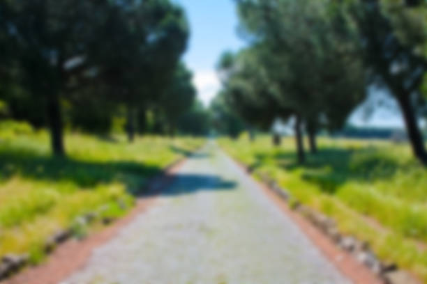 istock Blurred backdrop of Appia Antica 588396616