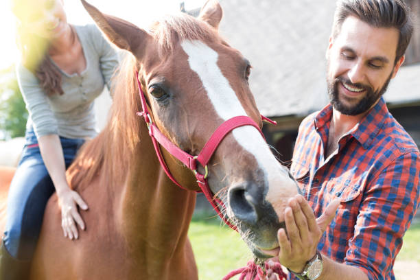 istock Couple feeding horse 588482619