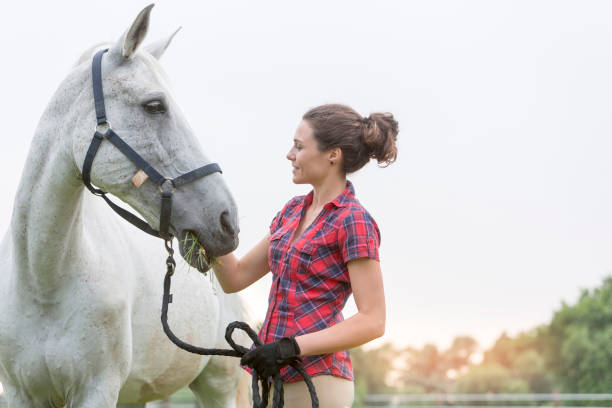 6,239 Horse Hair Styles Stock Photos, Pictures & Royalty-Free Images - iStock 6,239 Horse Hair Styles Stock Photos, Pictures & Royalty-Free Images - iStock