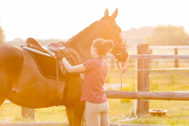 istock Woman preparing saddle for horseback riding in rural pasture 588482789
