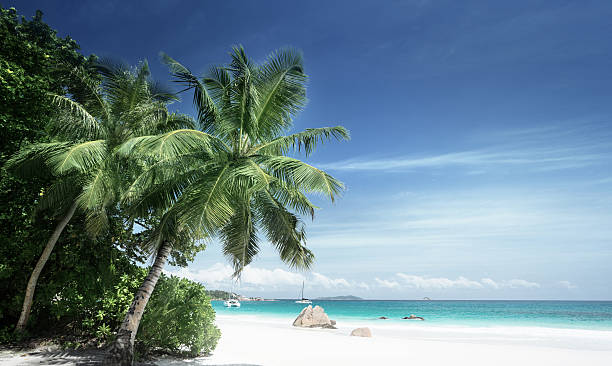 istock Anse Lazio beach at Praslin island, Seychelles 588578666