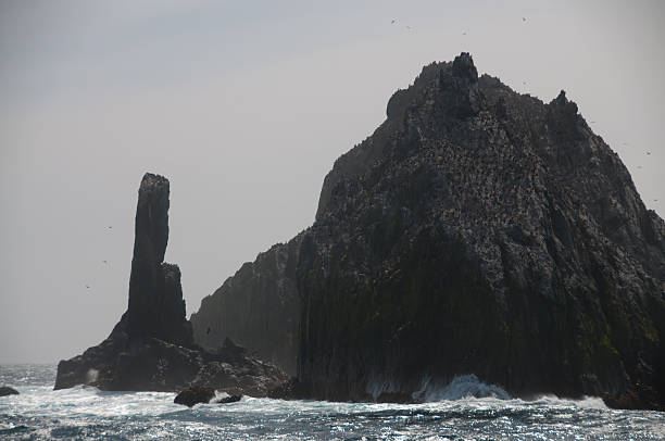 istock Shag Rocks up close 588579060