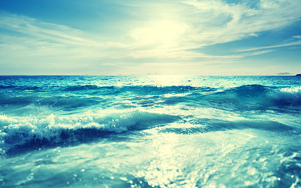 istock saychelles beach in sunset time, tilt shift effect 588579238