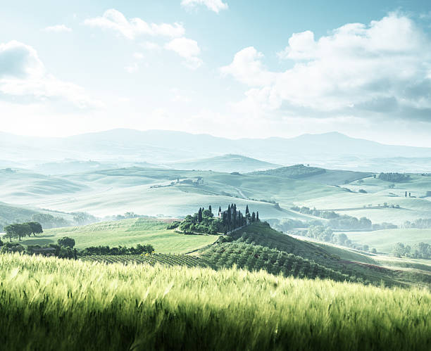 istock morning in Tuscany, Italy 588579680