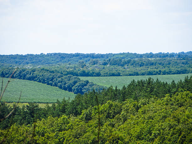 istock Beautiful view of the forest and hills 588580554
