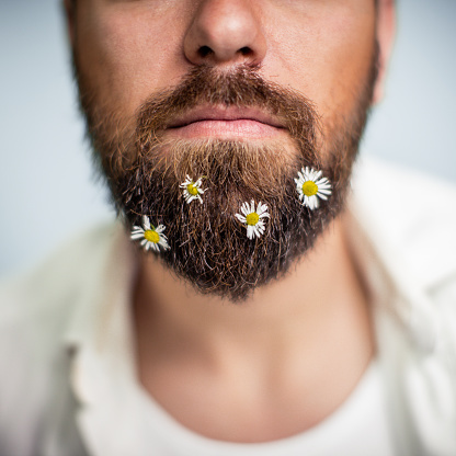 Photo of a young man's beard covered with a little daisies 