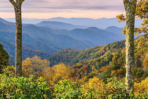 istock Smoky Mountains National Park 588588844